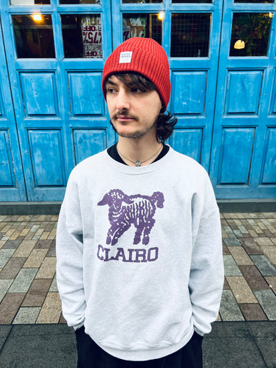 Born & Bred in Ireland Beanie | Born & Bred