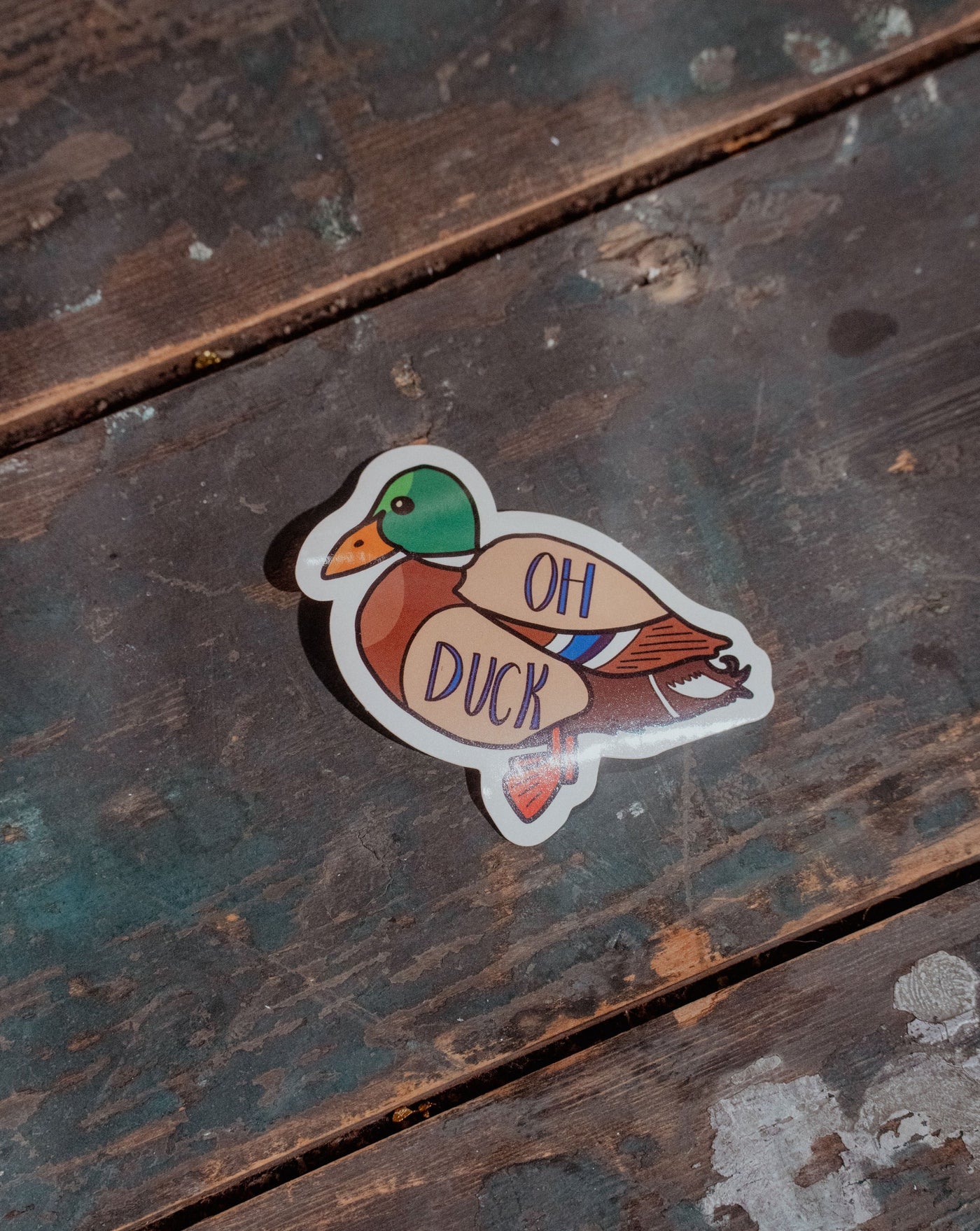 Oh Duck Sticker | Sasha Ferg Art