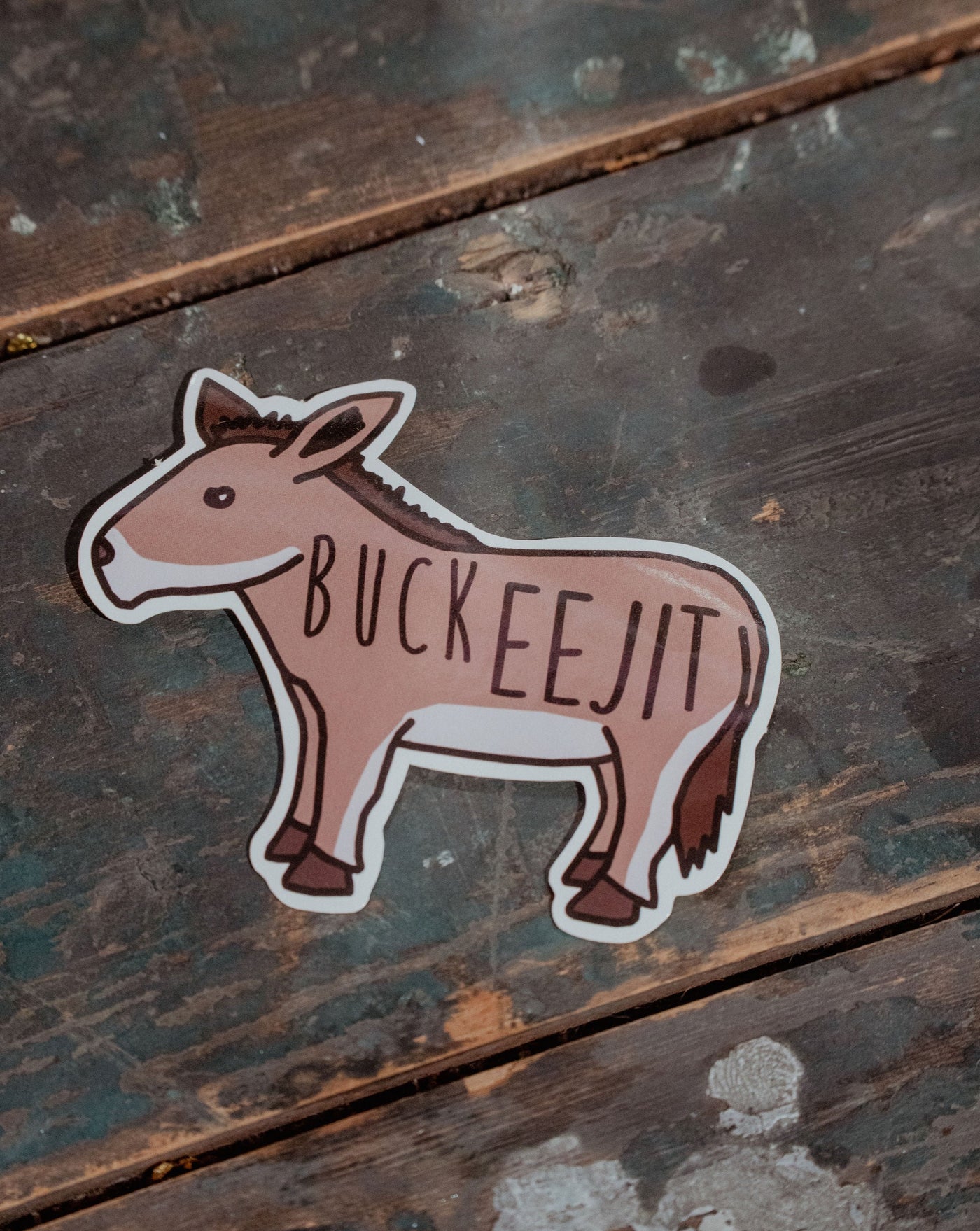 Buck Eejit Sticker | Sasha Ferg Art