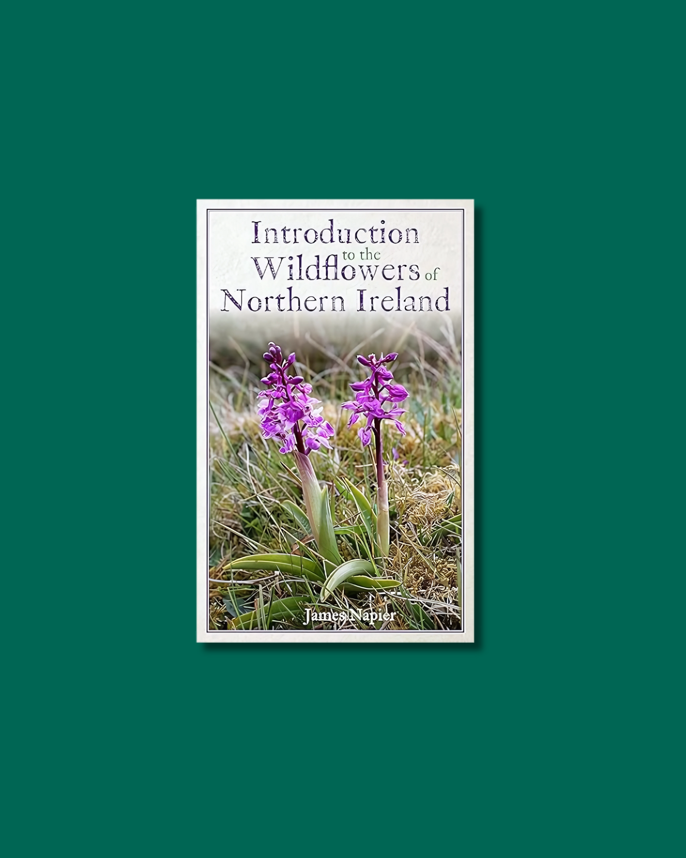 Introduction to the Wildflowers of Northern Ireland | James Napier