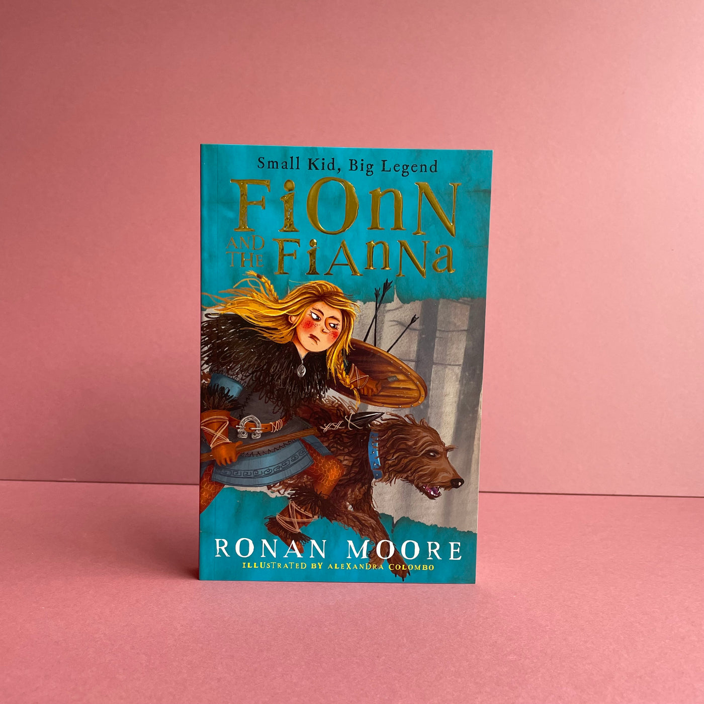 fionn and the fianna book